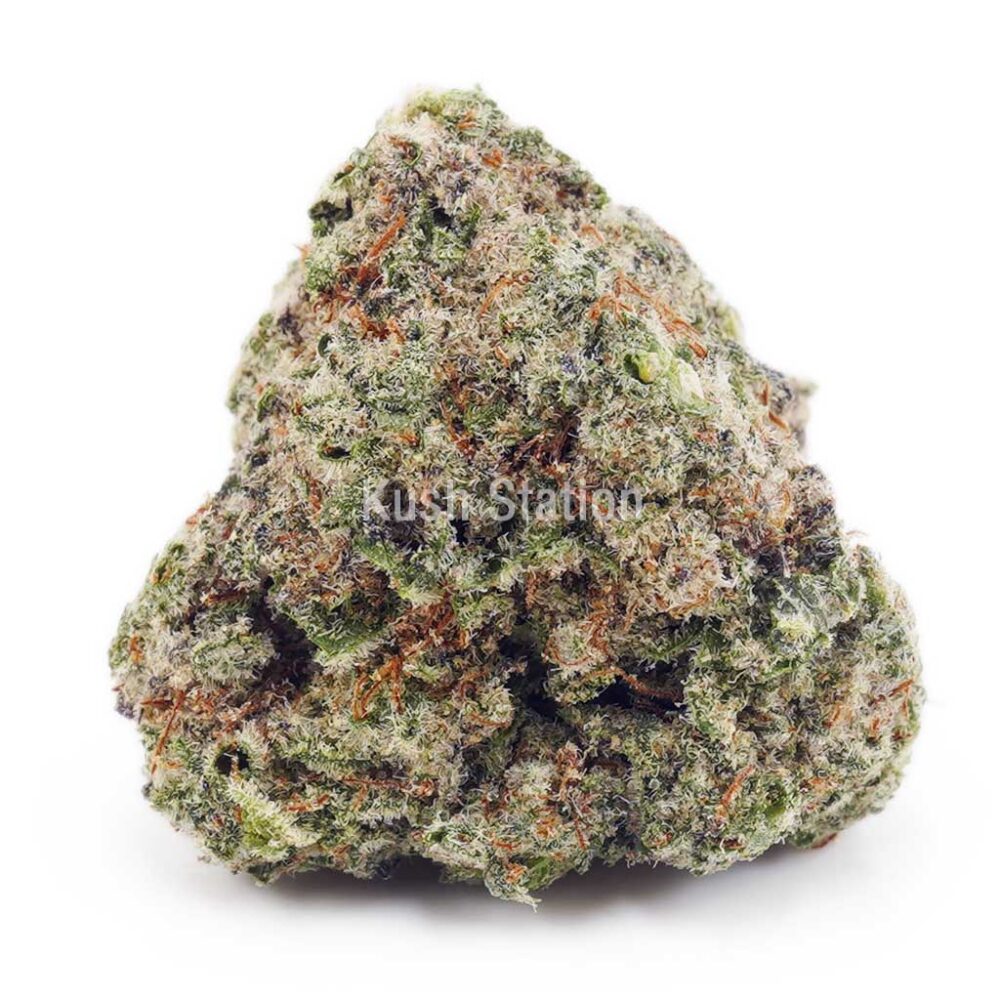 Buy Strawberry Cough AAAA at Kush Station Online Shop