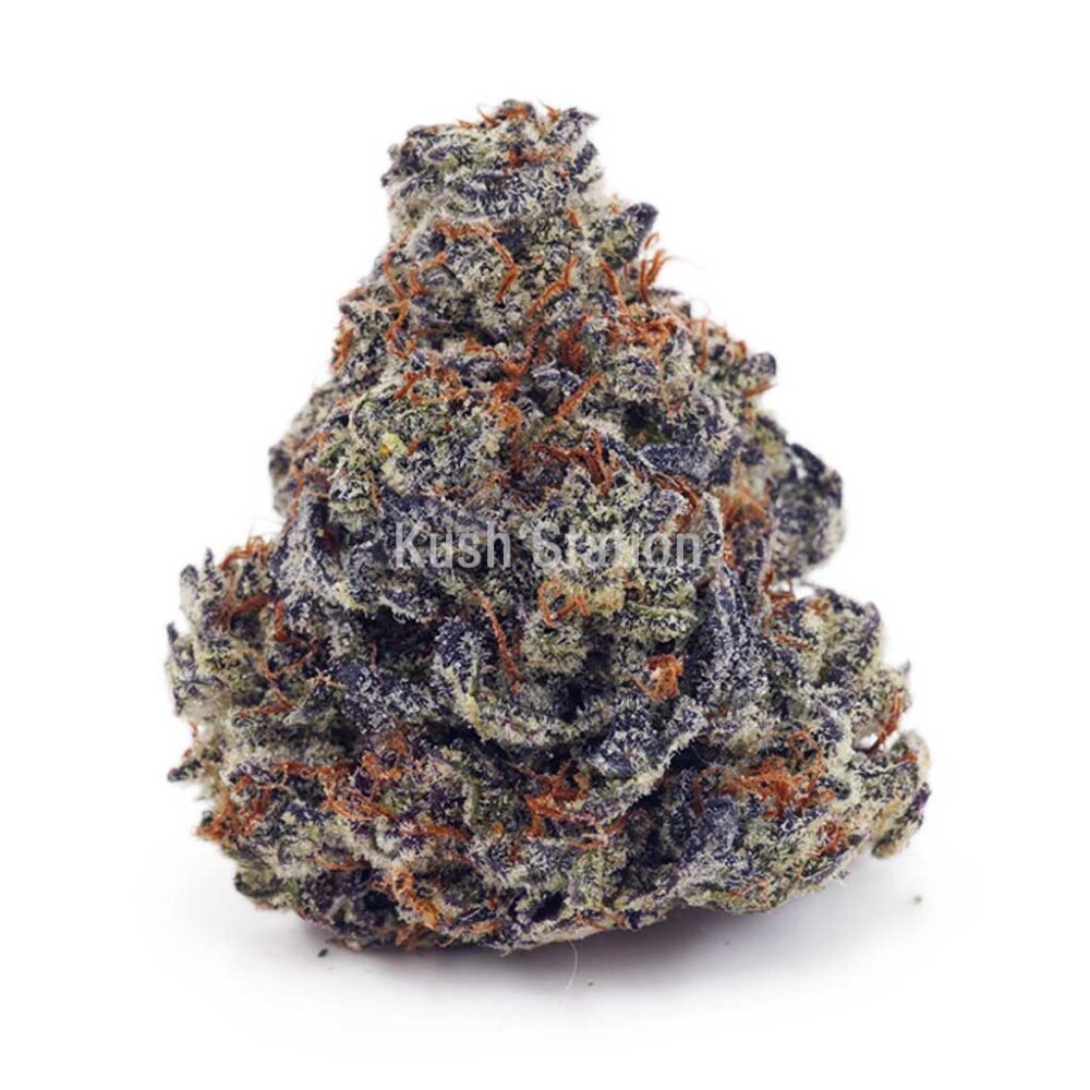 Buy Blackberry Kush AA at Kush Station Online Shop