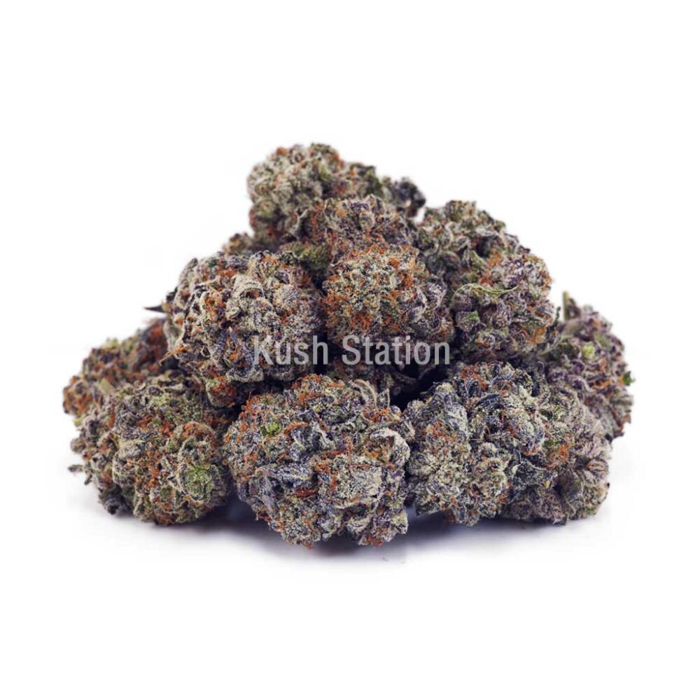 Buy Blackberry Kush AA at Kush Station Online Shop