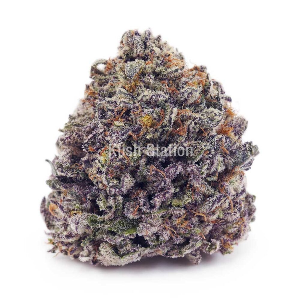 Buy Blueberry Skunk AAAA at Kush Station Online Shop