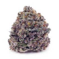 Buy Blueberry Skunk AAAA at Kush Station Online Shop