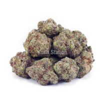 Buy Cookies Kush AAAA at Kush Station Online Shop