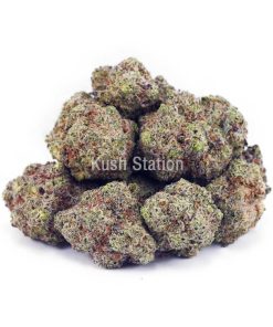Buy Cookies Kush AAAA at Kush Station Online Shop