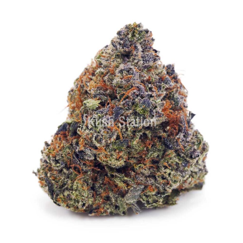 Buy Pink Rob Ford (Craft) at Kush Station Online Shop