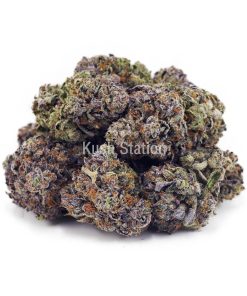 Buy Tom Ford Pink Kush (Craft) at Kush Station Online Shop