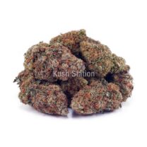 Buy Rainbow Kush AA at Kush Station Online Shop