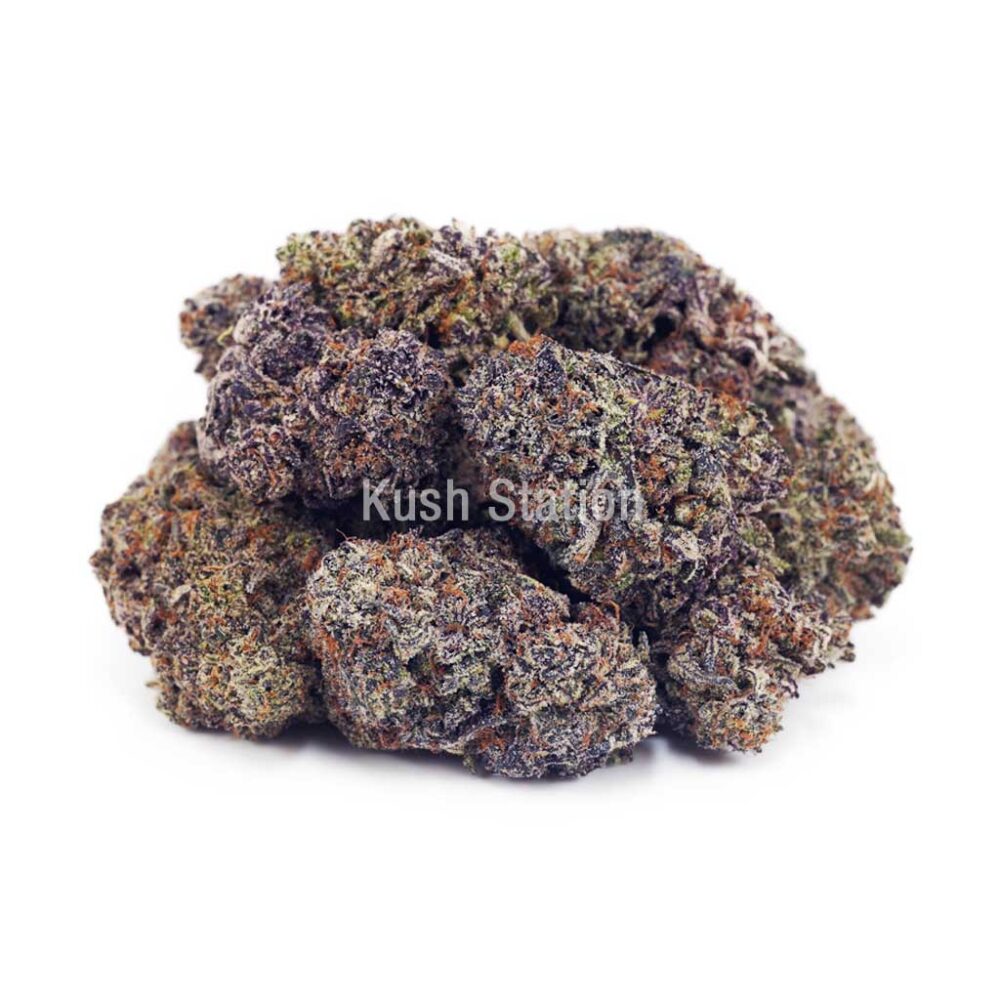 Buy Budzilla (Craft) at Kush Station Online Shop
