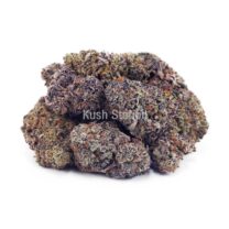 Buy Budzilla (Craft) at Kush Station Online Shop