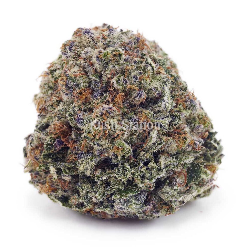 Buy 33 Splitter (Craft) at Kush Station Online Shop