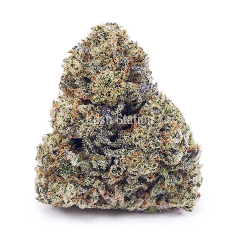 Buy Apple Fritter (Craft) at Kush Station Online