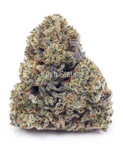 Buy Apple Fritter (Craft) at Kush Station Online