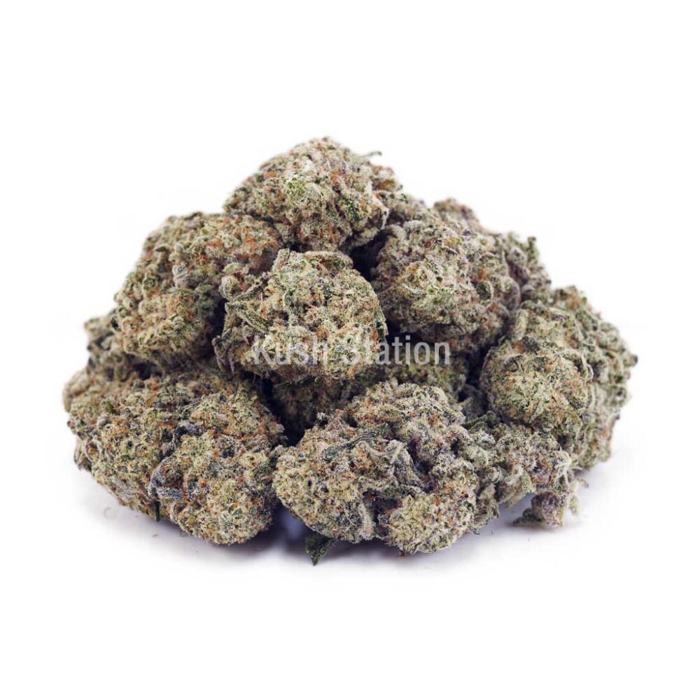 Buy Apple Fritter (Craft) at Kush Station Online