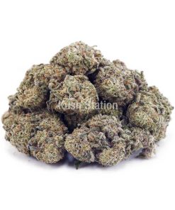 Buy Apple Fritter (Craft) at Kush Station Online