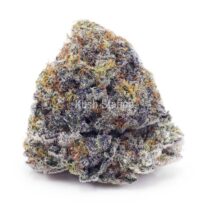 Buy Khalifa Kush AAA at Kush Station Online Shop