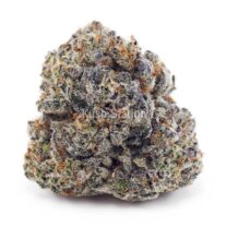 Buy Wedding Cake AA at Kush Station Online Shop