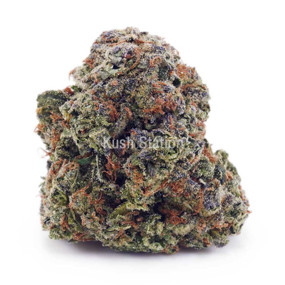 Buy Biscotti AA at Kush Station Online Shop.