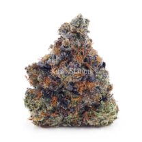 Buy One Punch (Craft) at Kush Station Online Shop