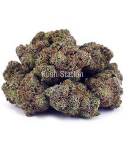 Buy Godfather OG AAA at Kush Station Online Shop