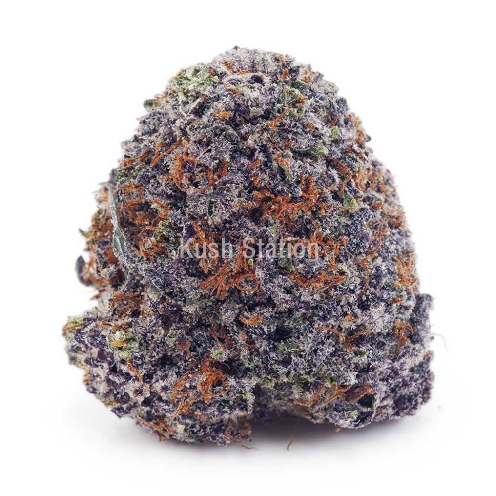 Buy Alaskan Thunder Fuck AAA at Kush Station Online Shop