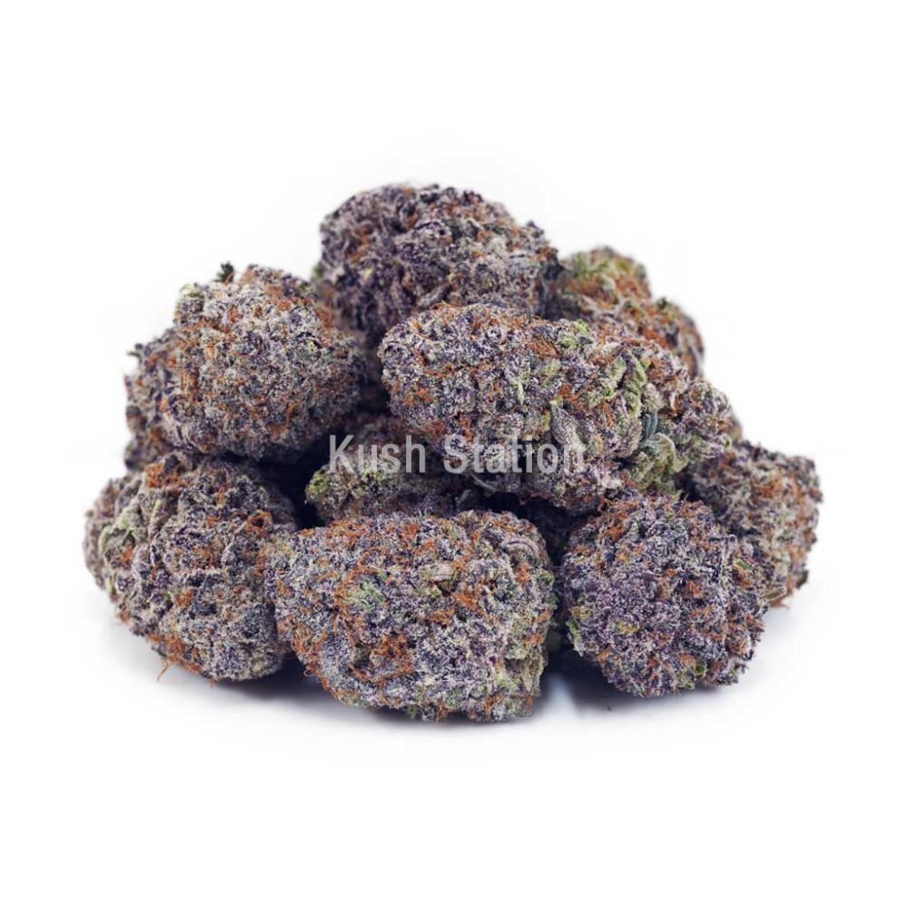 Buy Alaskan Thunder Fuck AAA at Kush Station Online Shop