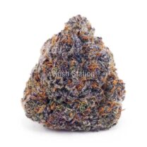 Buy Grape Stomper AAAA - Quadzilla Farms at Kush Station Online Shop