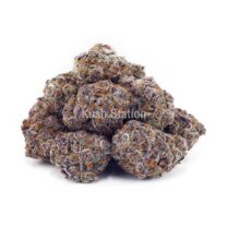 Buy Grape Stomper AAAA - Quadzilla Farms at Kush Station Online Shop