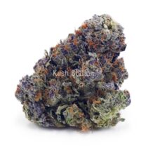 Buy Rainbow Bomb AA at Kush Station Online Shop