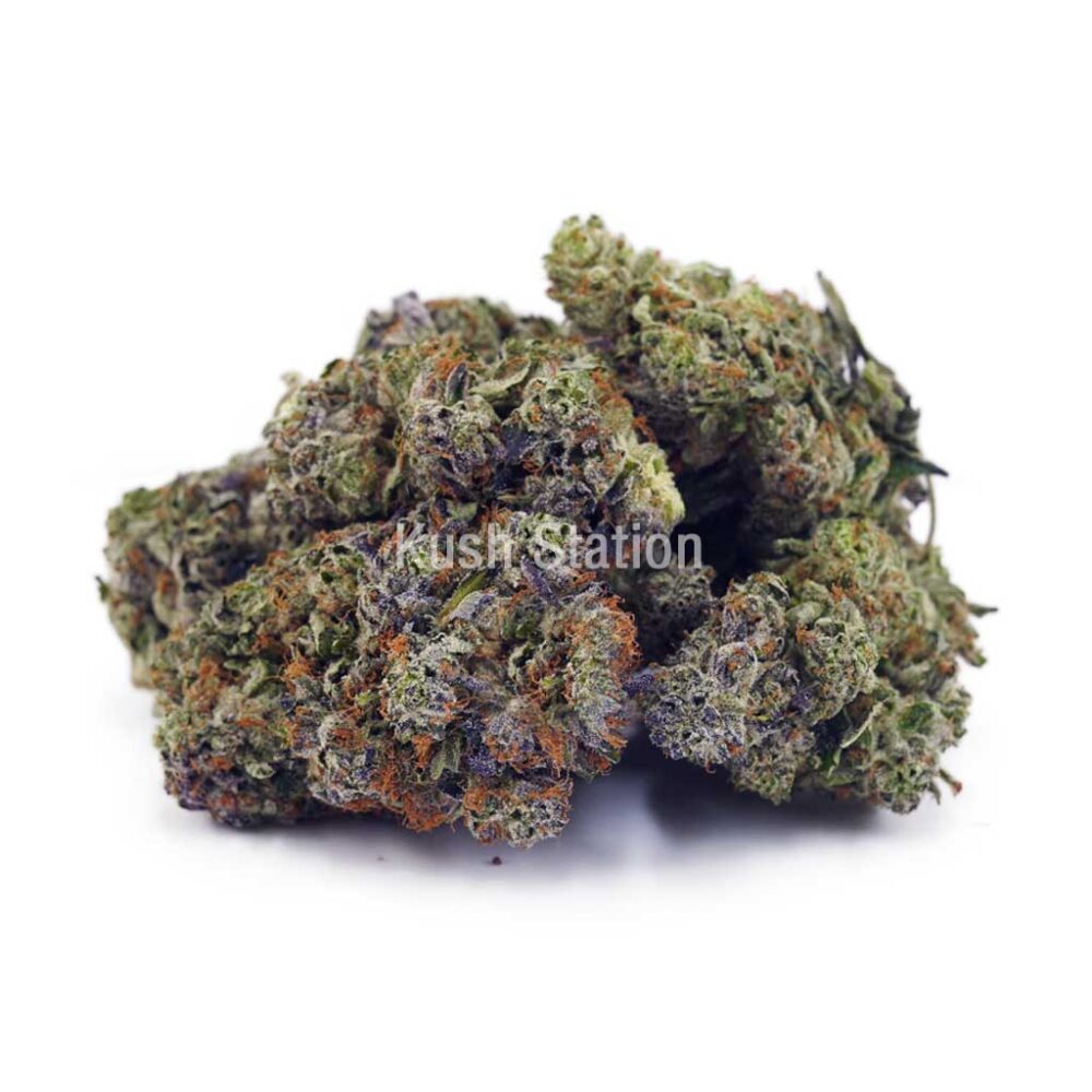 Buy Rainbow Bomb AA at Kush Station Online Shop