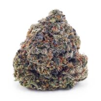 Buy Pink Candy Kush AAAA at Kush Station Online Shop