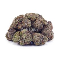 Buy Pink Candy Kush AAAA at Kush Station Online Shop