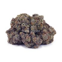 Buy Cotton Candy Kush AAA at Kush Station Online Shop