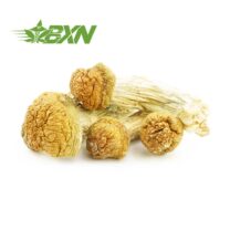 Buy Mushroom - Monster Penis Envy at Kush Station Online Shop