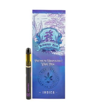 Buy So High Extracts Disposable Pen - Blueberry Kush 1ML (Indica) at Kush Station Online Shop