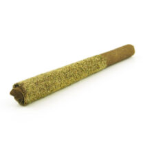 Buy Sesh Blunts at Kush Station Online Shop