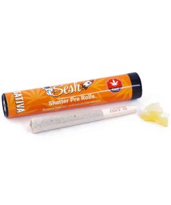 Buy Sesh Shatter Joints at Kush Station Online Shop