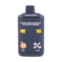 TA PEACHCRESCENDOSAUCE STRAIGHTGOODS LPB