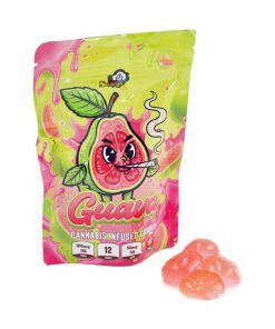 Buy Sky High Edibles - Guava Gummy 600mg THC at Kush Station Online Shop