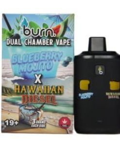 Burn Extracts - Dual Chamber Disposable Vape - Blueberry Mojito + Hawaiian Diesel (3+3 Gram)