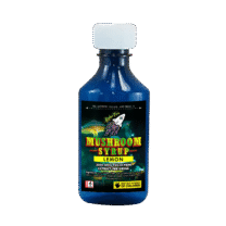 Buy Higher Fire Extracts – Mushroom Syrup – Lemon 3000mg Psilocybin At Kush Station Online Shop