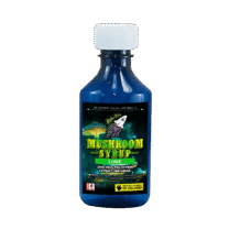 Buy Higher Fire Extracts – Mushroom Syrup – Lime 3000mg Psilocybin At Kush Station Online Shop