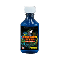 Buy Higher Fire Extracts – Mushroom Syrup – Orange 3000mg Psilocybin At Kush Station Online Shop