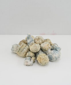 Buy Mushroom - Iceberg (Exotic) at Kush Station Online Shop