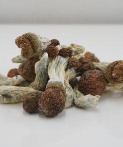 Buy Mushroom - Penis Envy #6 at Kush Station Online Shop