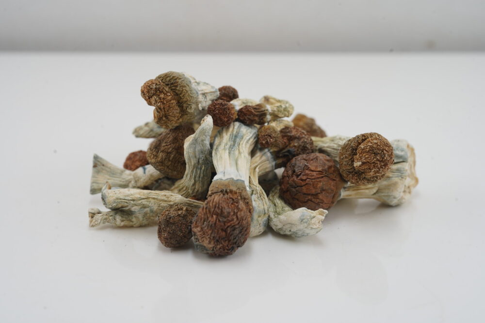 Buy Mushroom - Penis Envy #6 at Kush Station Online Shop