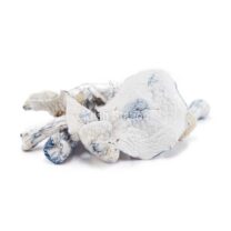 Buy Mushroom - Avalanche at Kush Station Online Shop