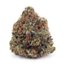 Buy Tuna Kush AAA at Kush Station Online Shop