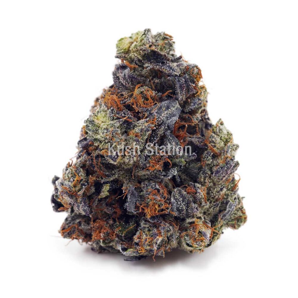 Buy Master Kush Ultra AA - LSO Farms at Kush Station Online Shop