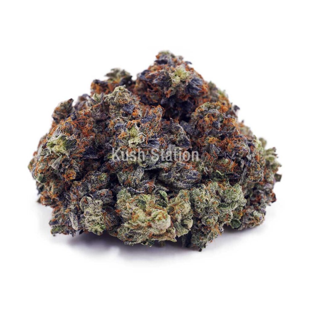 Buy Master Kush Ultra AAA - LSO Farms at Kush Station Online Shop