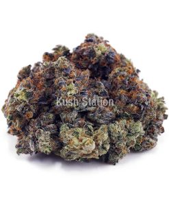 Buy Master Kush Ultra AAA - LSO Farms at Kush Station Online Shop