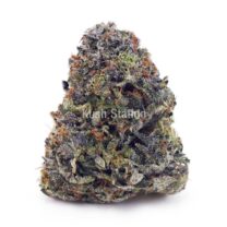 Buy Afghan Kush AA at Kush Station Online Shop